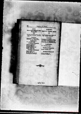 Fotogramma B 6