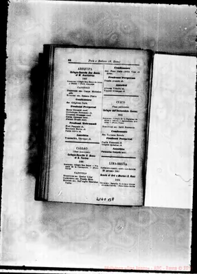 Fotogramma B 8