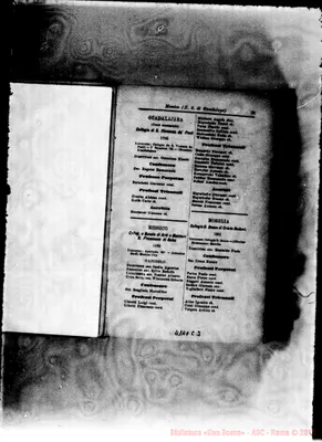 Fotogramma C 3