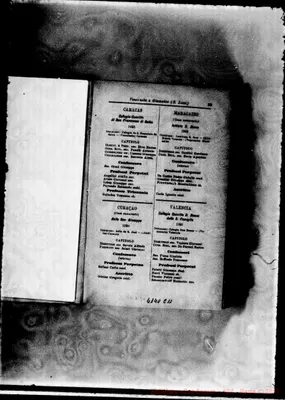 Fotogramma C 11