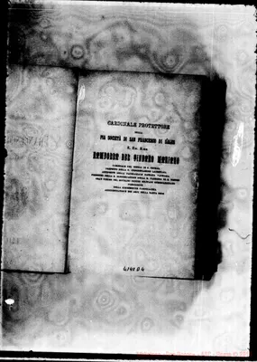 Fotogramma D 4