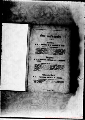 Fotogramma D 9