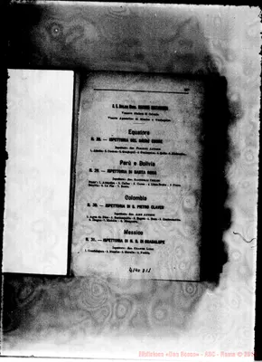 Fotogramma D 11
