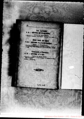Fotogramma D 12