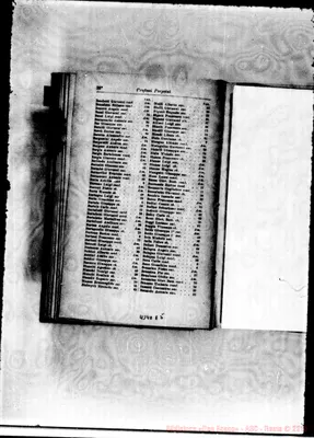 Fotogramma E 5