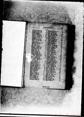 Fotogramma E 6