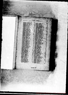 Fotogramma E 8