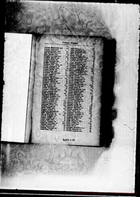 Fotogramma E 12