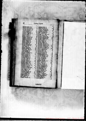 Fotogramma A 1