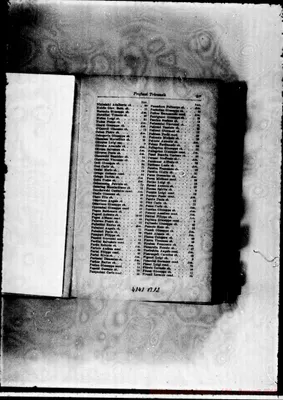 Fotogramma B 12