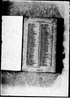 Fotogramma C 2