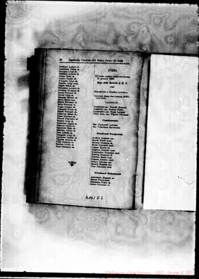 Fotogramma D 6