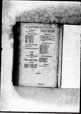 Fotogramma E 8