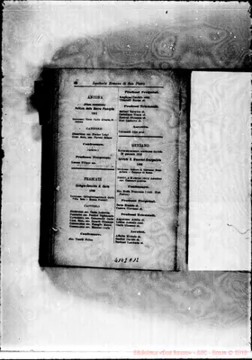 Fotogramma A 12