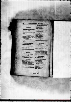 Fotogramma B 8