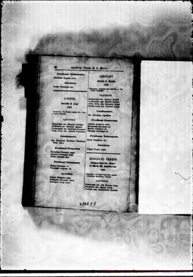 Fotogramma C 6