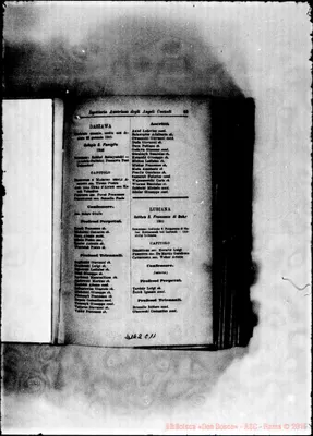 Fotogramma C 11