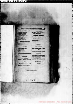 Fotogramma D 5