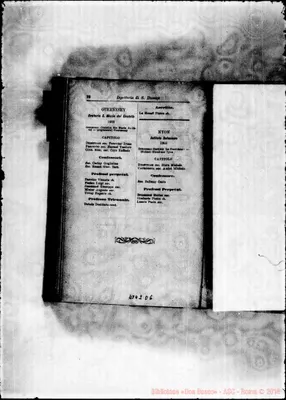 Fotogramma D 6