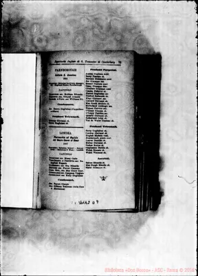 Fotogramma D 9