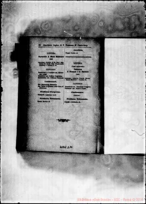 Fotogramma D 10