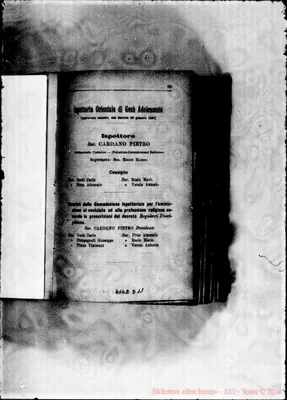 Fotogramma D 11