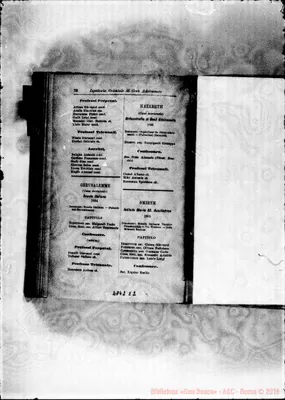 Fotogramma E 2