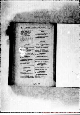 Fotogramma E 6