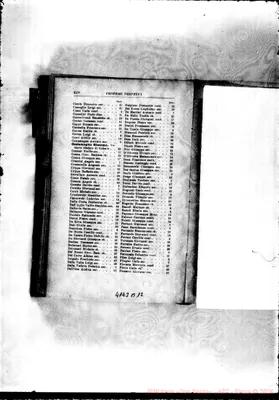 Fotogramma B 12