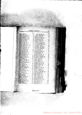 Fotogramma C 1