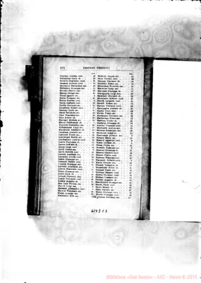 Fotogramma C 2