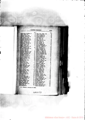 Fotogramma C 3