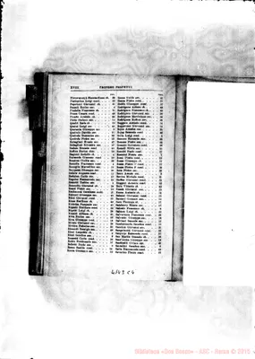 Fotogramma C 4