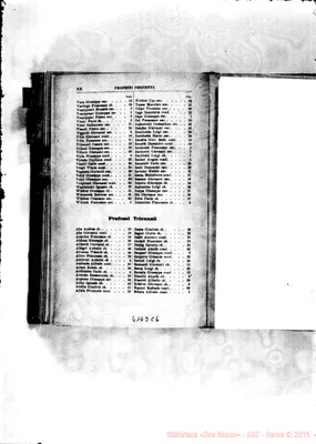 Fotogramma C 6