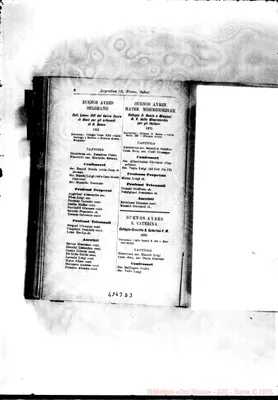Fotogramma D 3