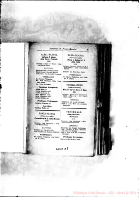 Fotogramma D 8