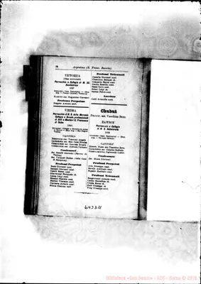 Fotogramma D 11