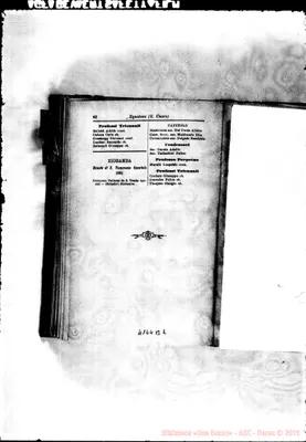 Fotogramma B 2