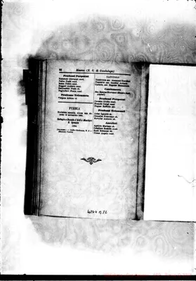Fotogramma B 12