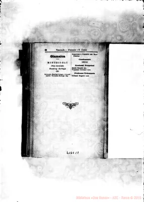 Fotogramma C 8