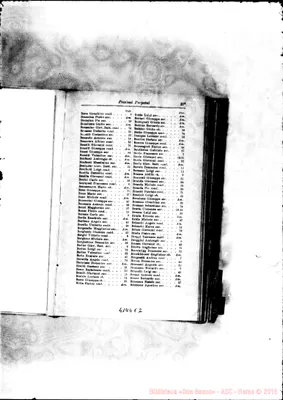 Fotogramma E 2