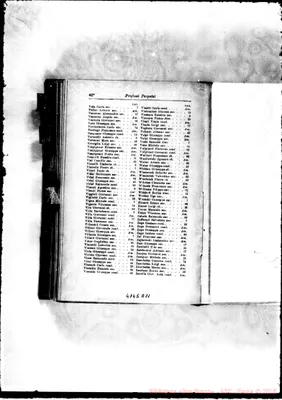 Fotogramma A 11