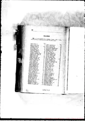 Fotogramma C 1