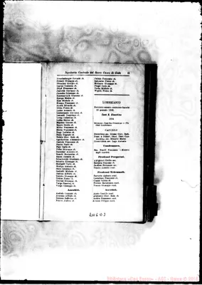Fotogramma D 3
