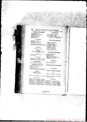 Fotogramma E 8