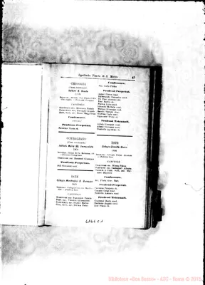 Fotogramma C 1