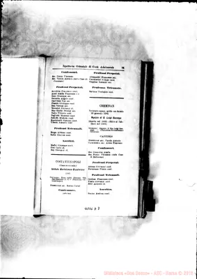 Fotogramma D 7