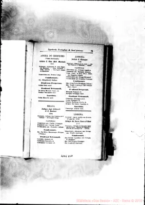 Fotogramma D 11