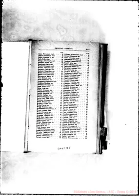 Fotogramma B 5