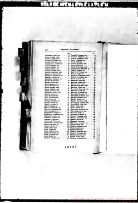 Fotogramma B 8